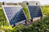 two solar panels mounted between plants