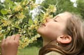 girl smelling flowers on a honeysuckle vine