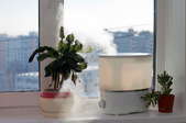 air purifier and plants in a room