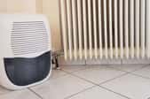humidifier next to old radiator