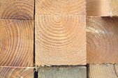 timber with end grain exposed