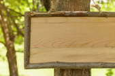 blank wood sign hanging on tree