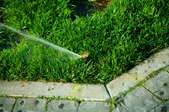 Low angle sprinkler in action.