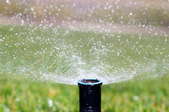 A sprinkler head watering the lawn.