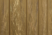 wood paneled wall