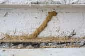 Termite tubes on the exterior of house. 