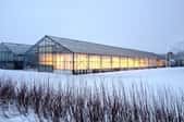 Large greenhouse in a field of snow