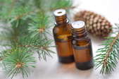 Two bottles of fragrance oil with scattered pine needles around them.