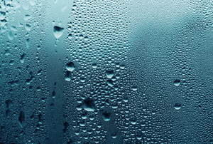 Water droplets condense on window glass.