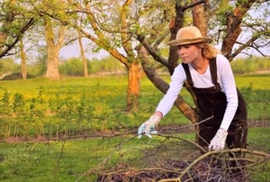 Young woman cleaning tree limbs in the fall.