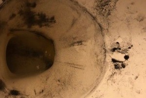 grimy toilet