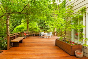 A wooden deck with trees