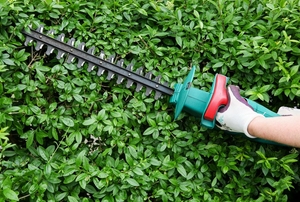 A hedge trimmer.
