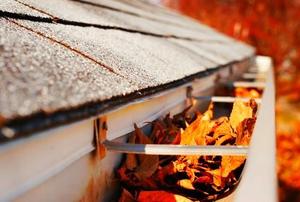 A rain gutter full of leaves.