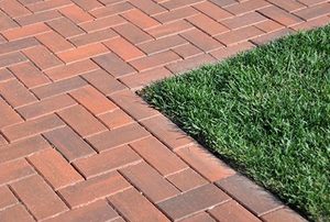 Grass Cornered by Bricks
