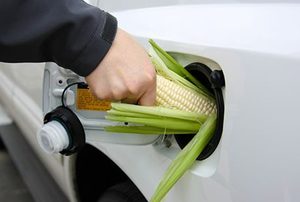 holding a corn cob in a gas tank to represent ethanol