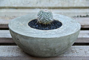 A cement planter with a cactus in it. 