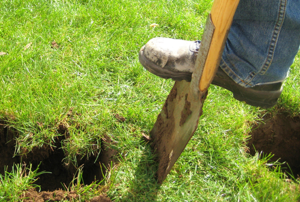 Someone using a sawtooth shovel to break up grass.