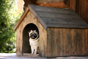 A dog house.