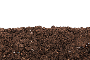 Soil on a white background.