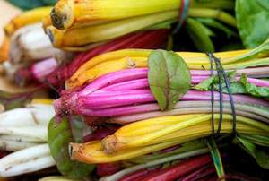 Rainbow Chard