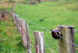 electric fence in a field