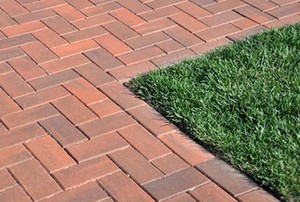 A brick sidewalk going through a yard.
