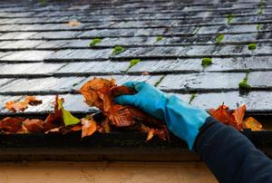 A rubber-gloved hand pulling dead leaves out of a gutter on a rainy day.