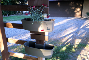 Downpipe Garden set up on wooden post