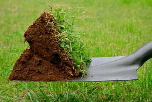 A square point shovel being used to dig a hole in the grass.