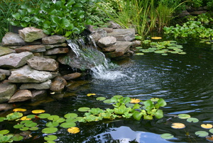 A pond and waterfall.