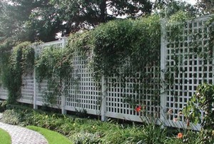 A white fence.