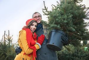 A couple hugging one another and holding a Christmas tree in a pot.