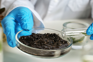 A man in a lab looking at soil.