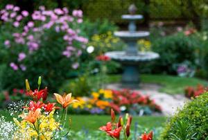 Beautiful Garden