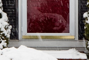 Storm Door in the snow
