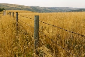 a barbed wire fence running through a field of grass with hills in the background