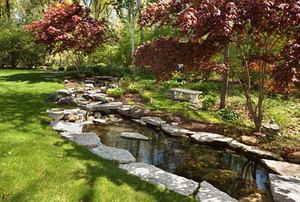 Lush Garden Back Yard With Stone Edged Pond