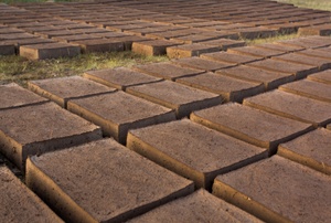 Bricks on the ground.
