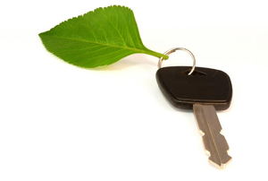A car key with a green leaf attached. 