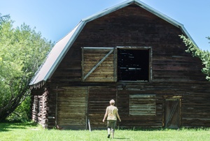 An old wood barn with a gambrel roof.