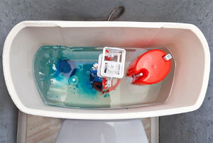 Toilet tank with blue dye