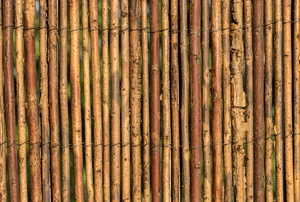 stained reed fencing