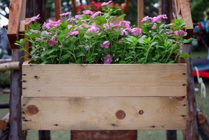 flower box