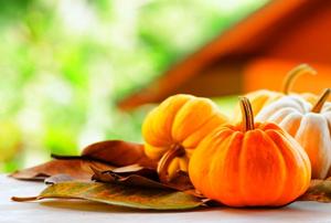 Small pumpkins resting haphazardly on a bed of fall leaves.