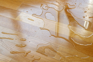 A water spill on wood flooring.