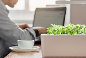 smart garden device near person using laptop