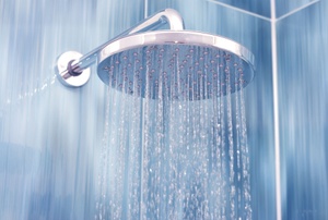 A close up on a shower head.