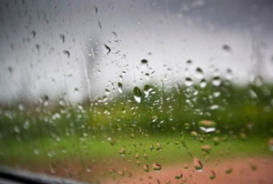 Rain collects on the outside of a glass window.