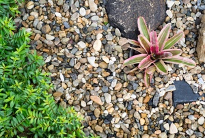 Pea gravel in a garden.